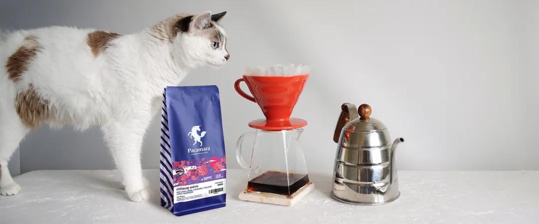Brew Anywhere 2